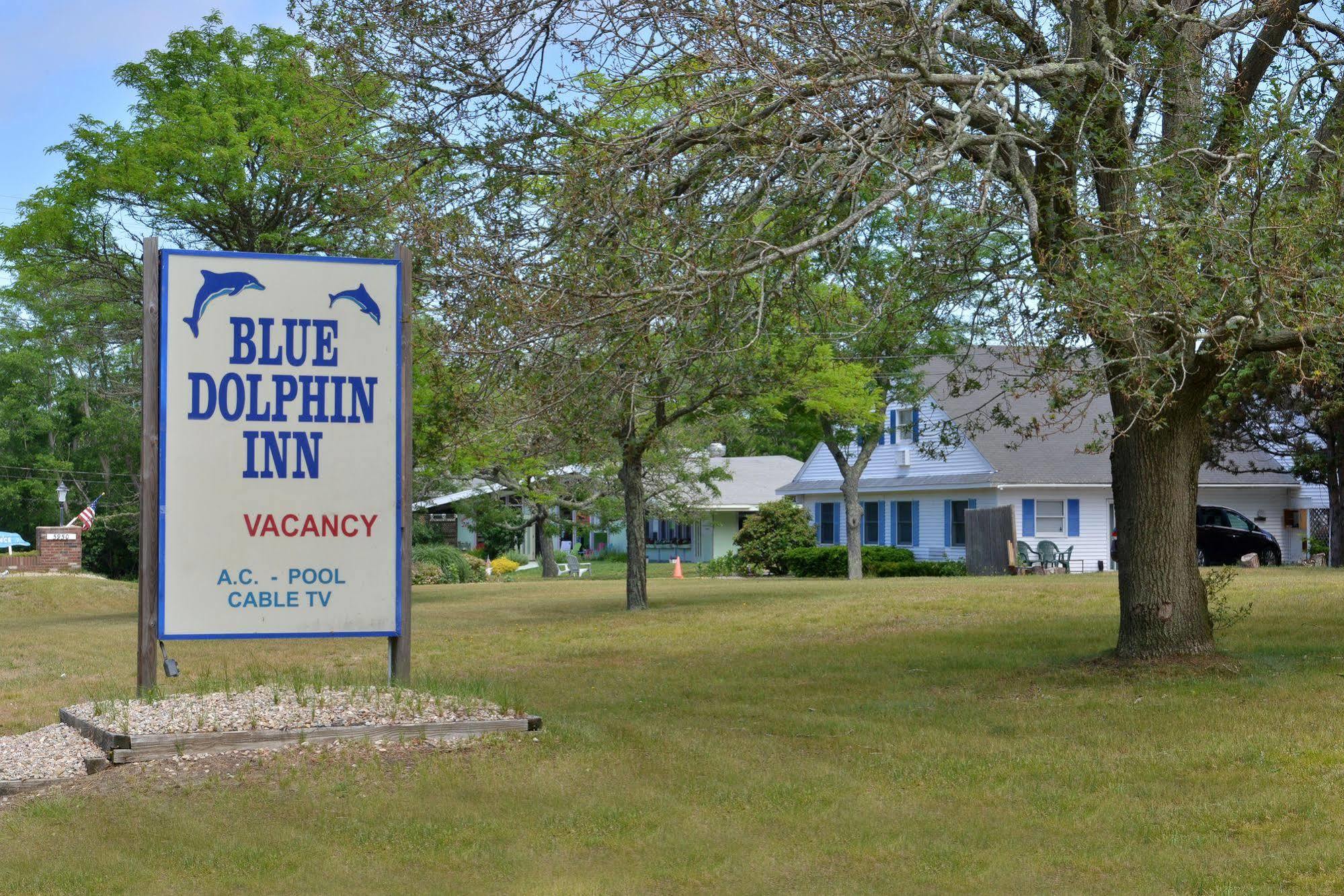 Blue Dolphin Inn Eastham Zewnętrze zdjęcie