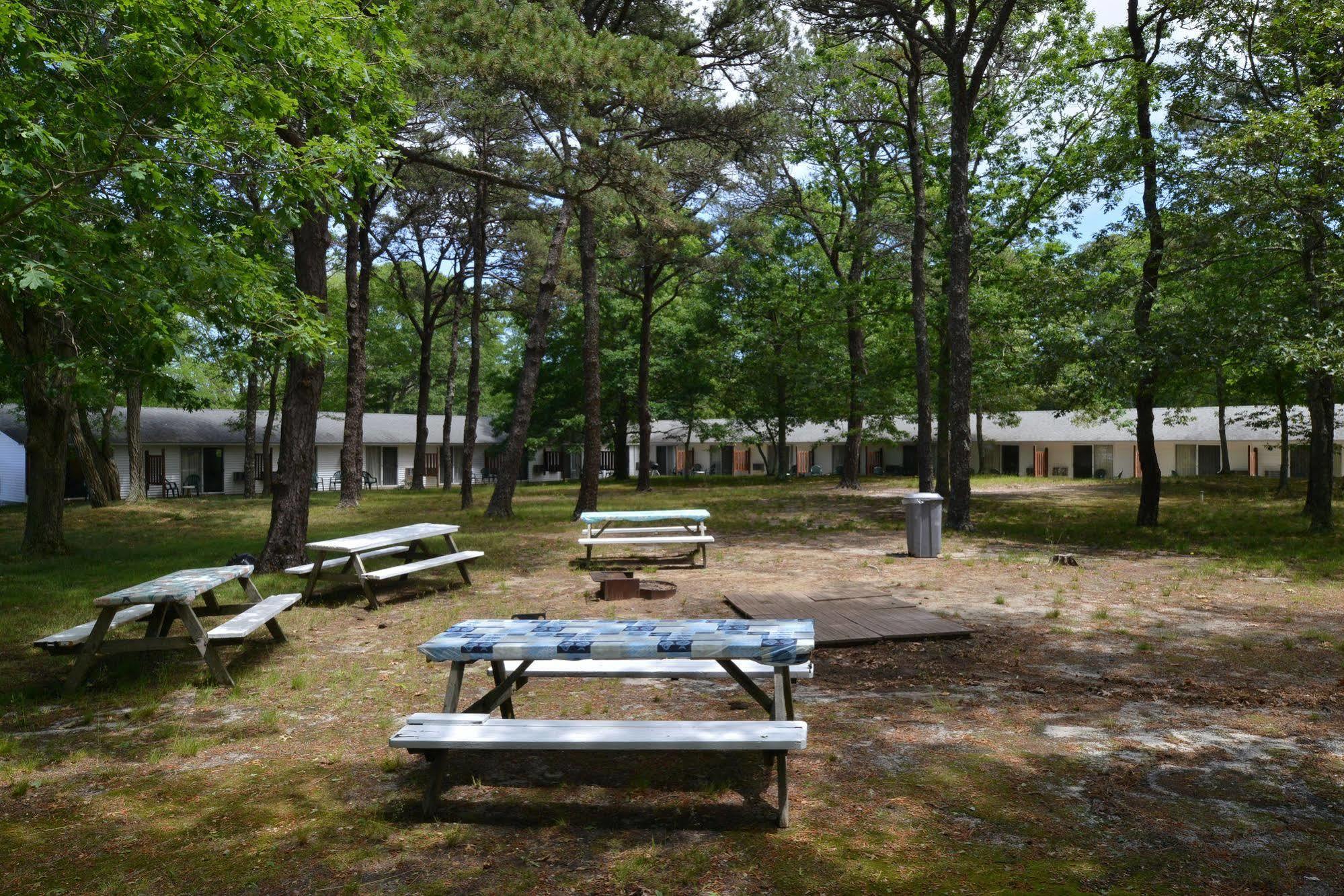 Blue Dolphin Inn Eastham Zewnętrze zdjęcie